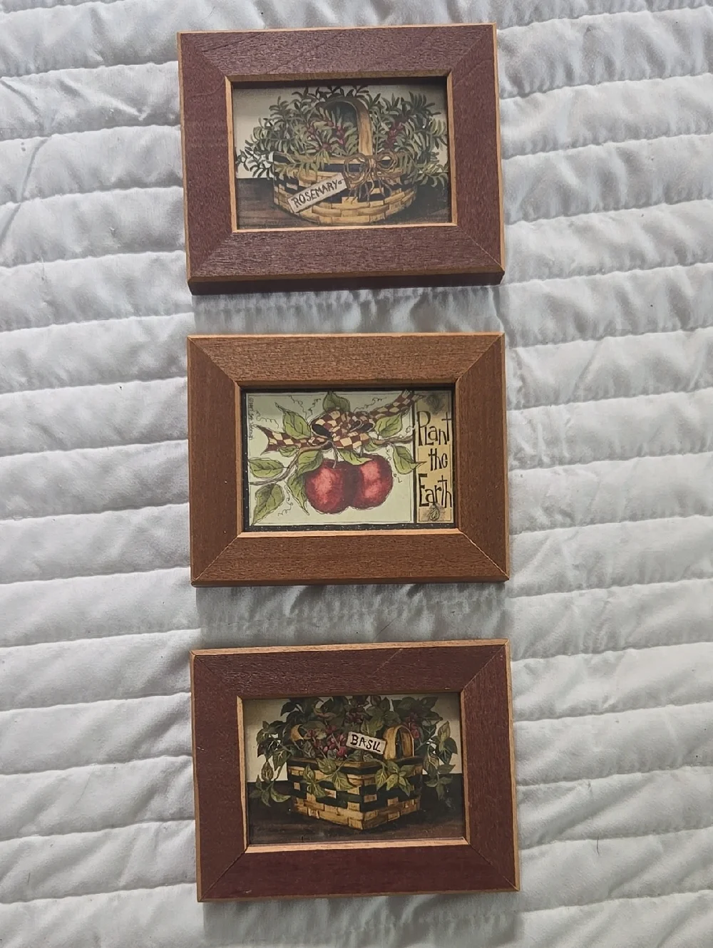 Set of 3 Rustic Brown Wood Botanical Wall Prints Rosemary Basil Plant the Earth